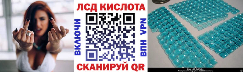 МЕГА tor  Новоалтайск  Наркотические марки 1,8мг 
