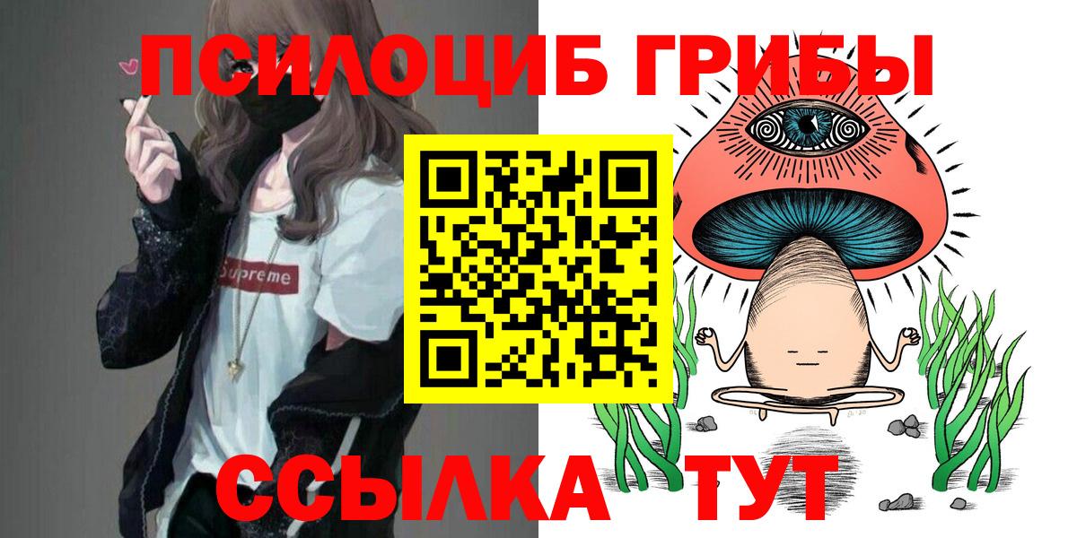 Псилоцибиновые грибы ЛСД Новоалтайск